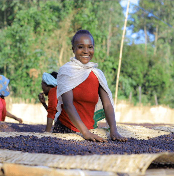Ethiopia Koke