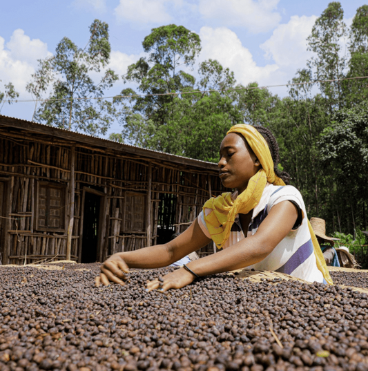 Rwanda Sake